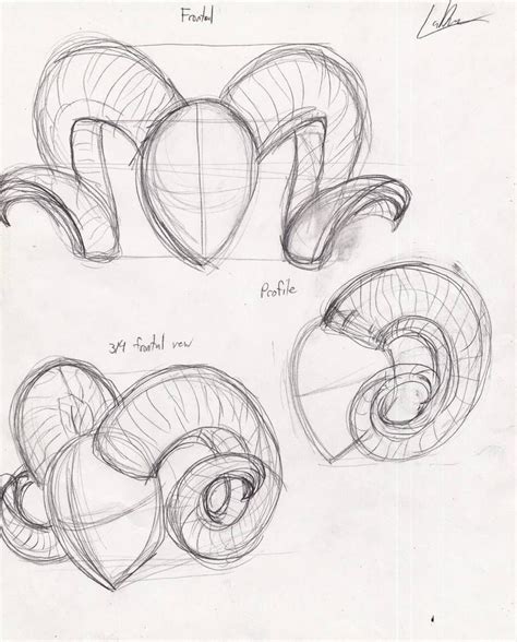 Demon Horn Reference Ram Horns By The Artist Marine On Deviantart