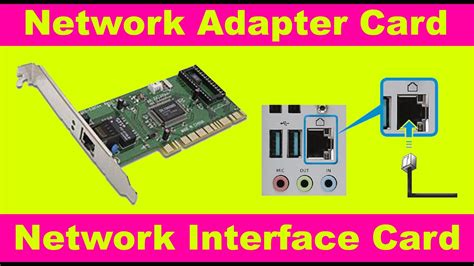 Network Adapter Card What Is A Network Adapter Network Interface
