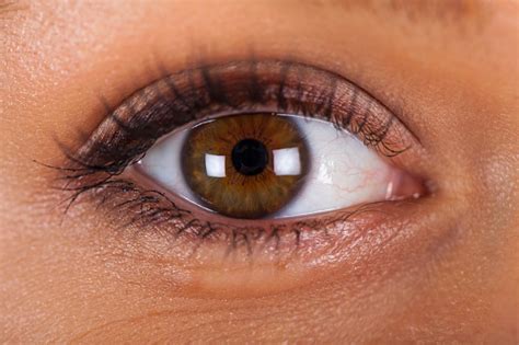 Close Up Female Hazel Eye Stock Photo Download Image Now Istock