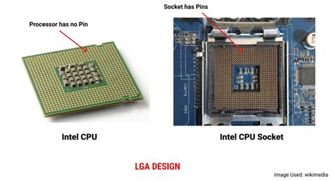 Why Amd Processor Has Pins And The Intel Processor Does Not Pin In It