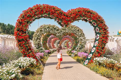 The Dubai Miracle Garden Why You Must Visit