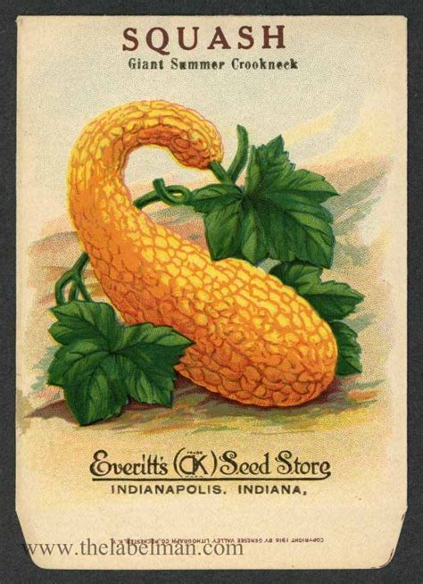 Retail seed packets need a brilliant presentation to gain buyers' attention. EVERITTâ€™S SEED STORE, Squash 259, Vintage Seed Packet ...