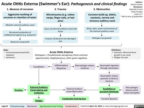 Acute Otitis Externa Swimmers Ear Pathogenesis And Clinical