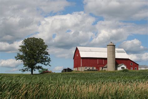 Wisconsin Has Second Most Organic Farms In The Nation The Farm