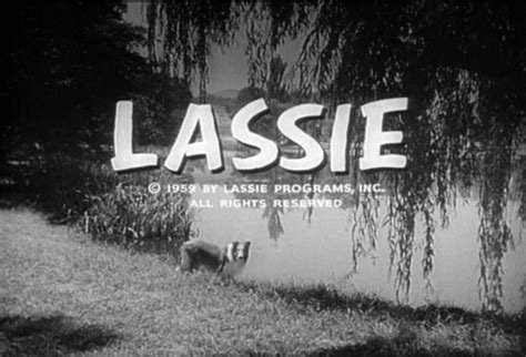 Lassie 1954 Tv Series Alchetron The Free Social Encyclopedia