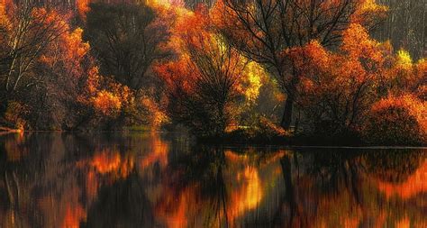 Hd Wallpaper Amber Colorful Fall Forest Lake Landscape Leaves