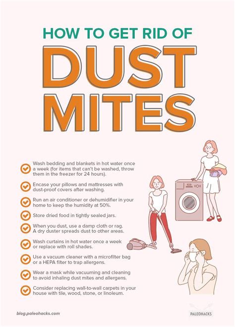 9 Surprising Places Dust Mites Are Creeping In Your Home Dust Mite