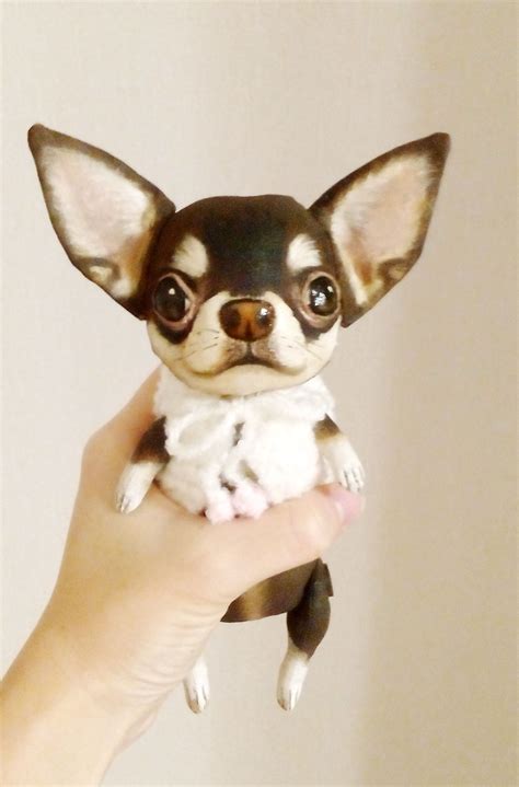 Chihuahua Mini Toy Monterrey Pets Lovers
