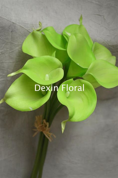 Stems Lime Green Calla Lily Real Touch Flowers Diy Wedding Etsy