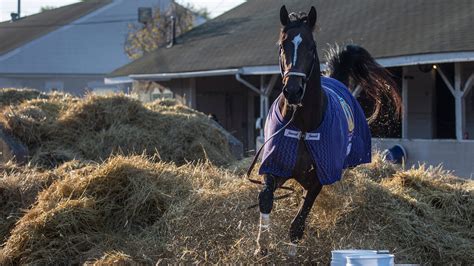 The 2021 kentucky derby preview comes with a little more normalcy this year than last year and they're off! Kentucky Derby 2021 horses: Here's an analysis on possible ...