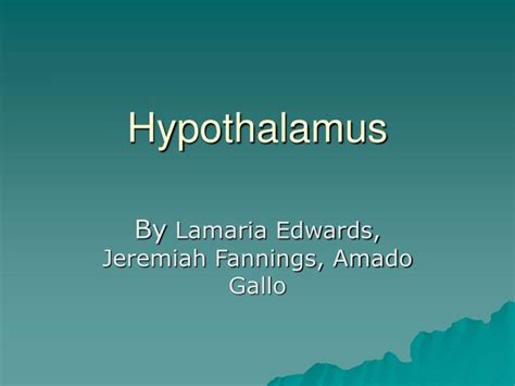 ppt hypothalamus powerpoint presentation free download id 4145289