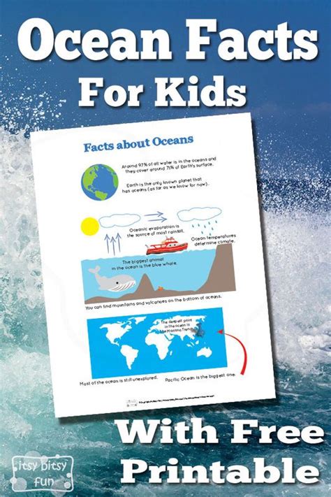 Ocean Facts For Kids Facts For Kids Ocean Lesson Plans Ocean Kids