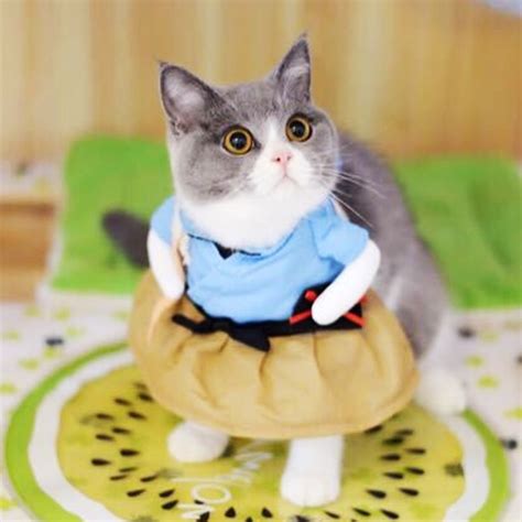 Cat Cosplay Clothes Funny Cat Costume Uniform Suit Cat Clothes Costume