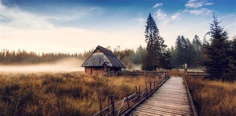 Nature Landscape Cabin Mist Fall Sunrise Forest Walkway Dry Grass Pine
