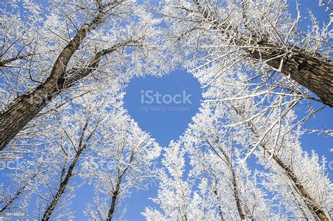 Winter Landscapebranches Form A Heartshaped Pattern Stock Photo