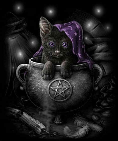 Pin By David Lyons On Witches In 2019 Wiccan Art Witch Cat Black