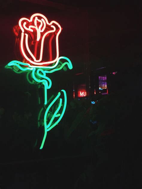 wallpaper neon signs carrotapp