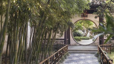What You Should Know About Graceful Chinese Gardens Cgtn