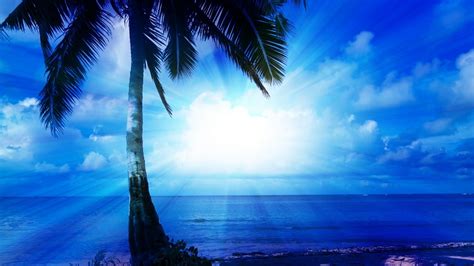 1 Hour Relaxing Music With Tropical Beach Scene For