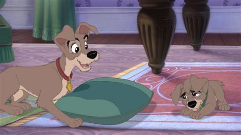 Lady And The Tramp Ii Scamps Adventure Special Edition