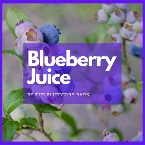 How To Make Fresh Blueberry Juice The Blueberry Barn