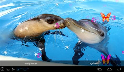 Free 3d Dolphin Live Wallpapers Apk Download For Android