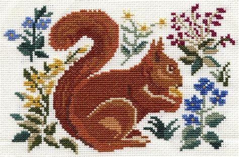 I don 't have a printer so i access the pattern and work from the screen. Squirrel Cross Stitch | This free pattern came from DMC's ...