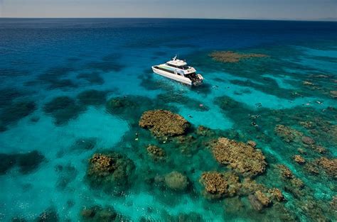 Cairns Snorkelling And Dive Tour Only 60 Guests Great Barrier Reef Trip Luxury Boat
