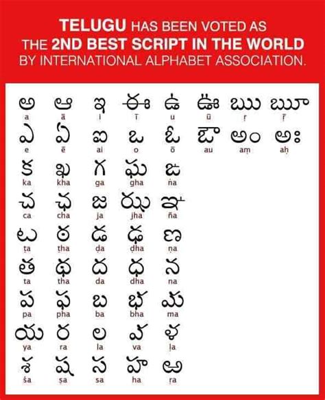 Telugu Letters Writing Practice Sheets Pdf