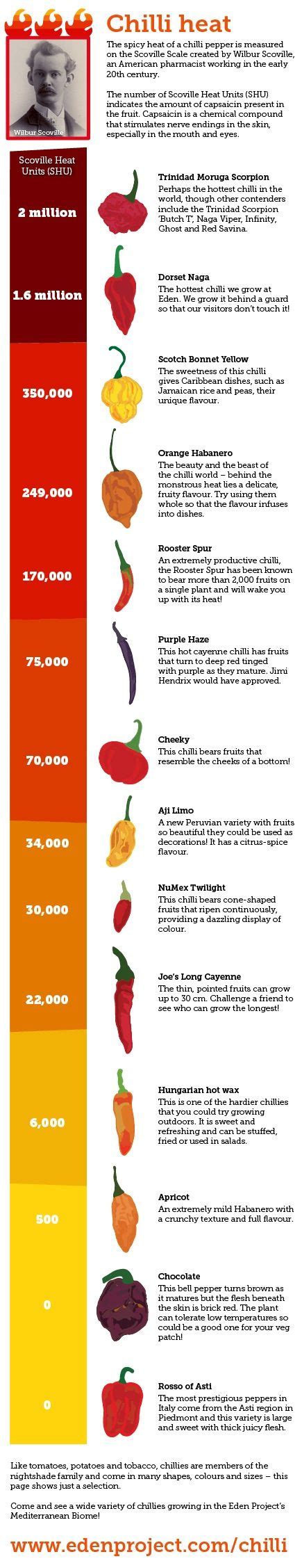 The scoville scale was devised by willbur scoville to measure how hot peppers are. How hot are your chillies? The Scoville scale is the ...