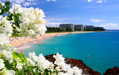 Hawaii Travel Qanda Everything You Need To Know And More Hawaii Life
