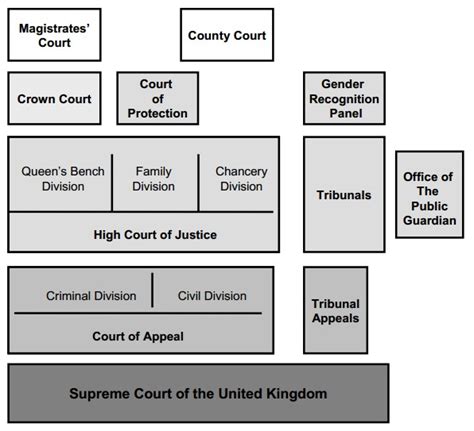The Court System Revision World