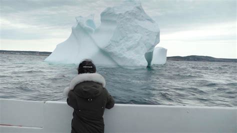 Icebergs Lure Tourists To Tiny Newfoundland Town NBC News