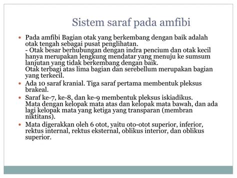 Hewan yang tubuhnya tidak memiliki kepala atau ekor didefinisikan memiliki jaring saraf, yang jaring seperti pengaturan sel saraf yang memperpanjang seluruh tubuh. PPT - SISTEM SARAF PADA HEWAN VERTEBRATA PowerPoint Presentation - ID:4546942