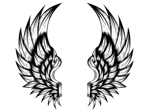 Angel Wings Vector Design Free Download 8902219 Vector Art At Vecteezy