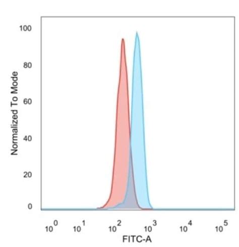 Anti Zbtb39 Antibody Pcrp Zmym3 2f10 Ab277109 Abcam