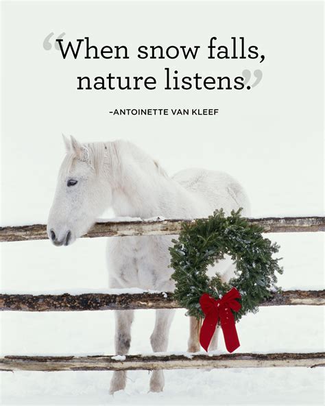 15 Best Winter Quotes Snow Quotes Youll Love