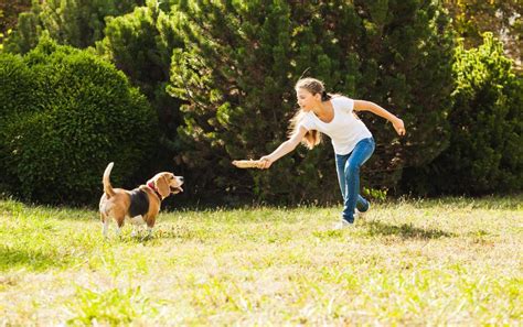 8 Divertidos Juegos Que Puedes Hacer Con Tu Perro Al Aire Libre