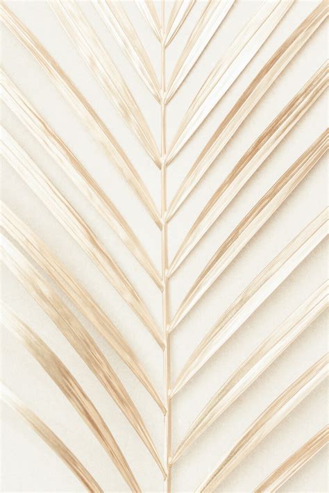 Golden Palm Leaf Posteres Réplicas De Quadros Murais De Parede