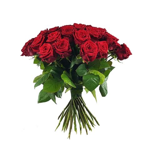 Rote Rosen In Verschiedenen Längen Online Bestellen