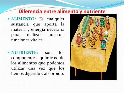 Diferencia Entre Alimento Y Nutriente Para Niños Niños Relacionados