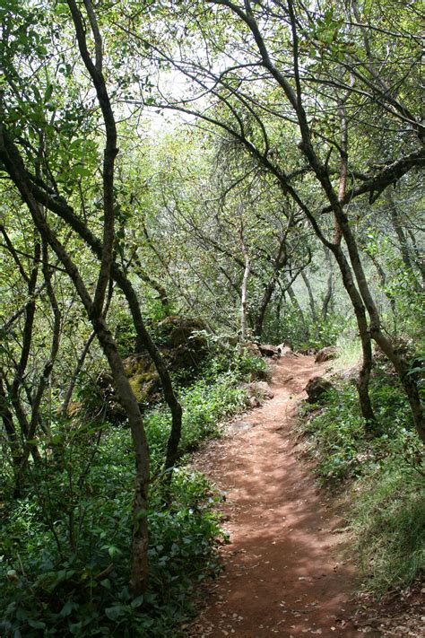 Elevation of Lincoln, CA, USA - Topographic Map - Altitude Map