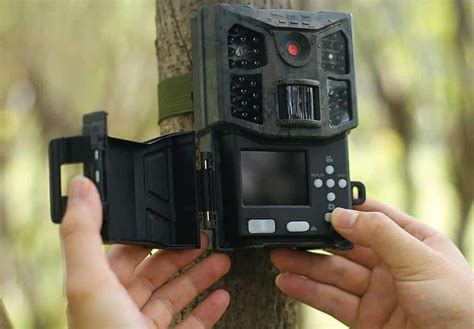 Top 5 Best Motion Activated Wildlife Cameras In 2020 Fail Proof