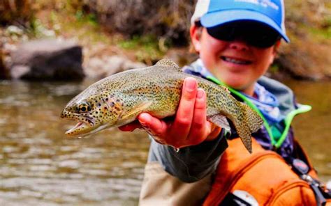 One of my favorite fish to catch has always been the trout. Best Fishing Line For Trout 2020 | Freshwater Fishing Pros