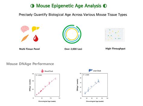 Zymo Research Epigenetic Aging Services Bric
