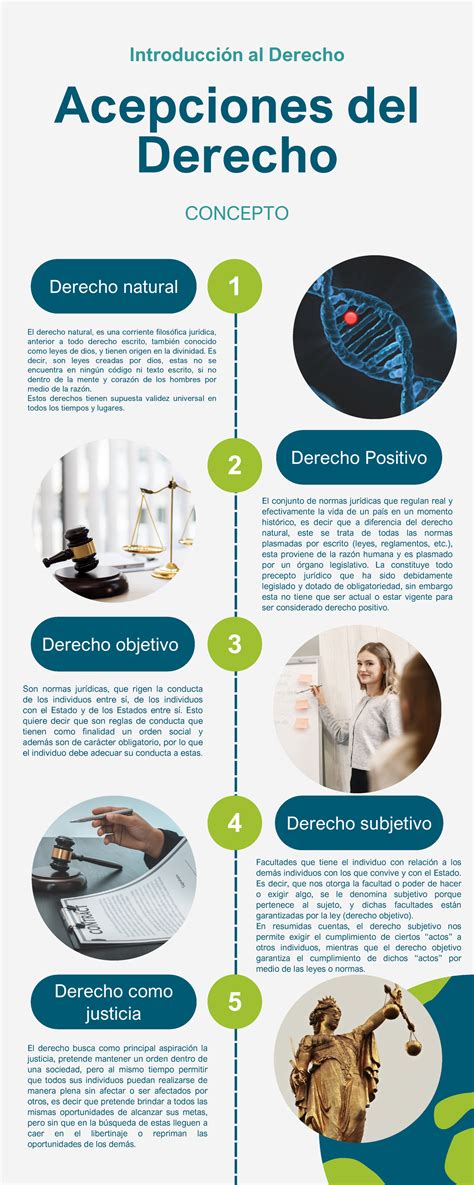 Infografia Acepciones Del Derecho 1 2 3 4 5 Derecho Natural Derecho