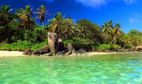 Plage Paradisiaque Seychelles Seychelles Beach Rêves Et Voyages