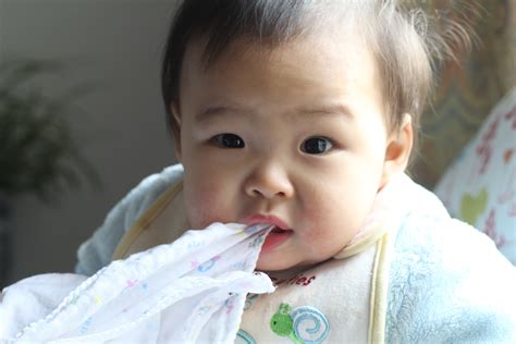 Fotos Gratis Persona Niña Jugar Niño Bebé Expresión Facial