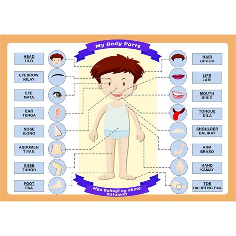 Educational Body Parts English Tagalog Chart For Children Girlboy