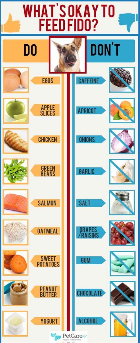 Foods Dogs Should Not Eat Chart